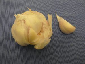 garlic-1